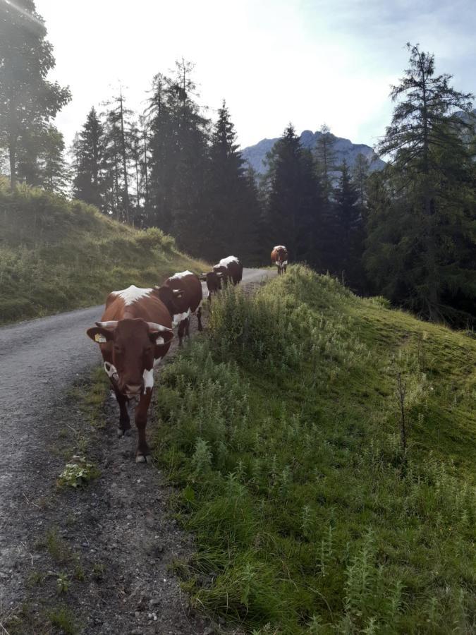 Ferienwohnung Reithgut Sankt Martin am Tennengebirge Exterior foto