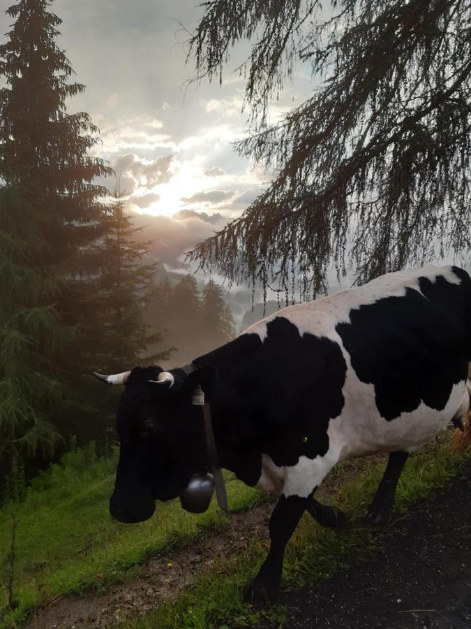 Ferienwohnung Reithgut Sankt Martin am Tennengebirge Exterior foto